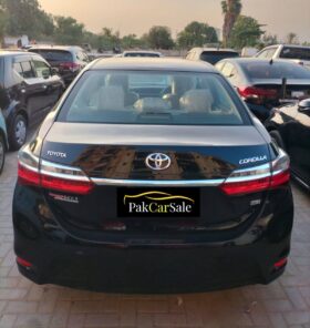 New 2019 Toyota Corolla