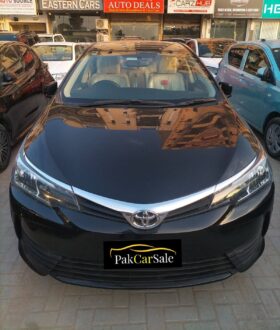 New 2019 Toyota Corolla