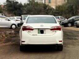 Used 2024 Honda Civic