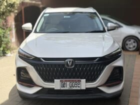 Used 2023 changan oshan